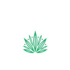 Infusion